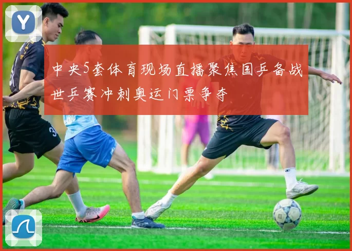中央5套体育现场直播聚焦国乒备战世乒赛冲刺奥运门票争夺