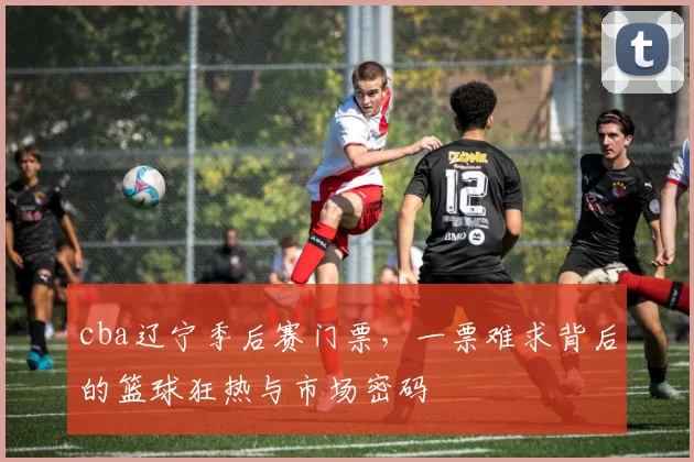 cba辽宁季后赛门票,一票难求背后的篮球狂热与市场密码