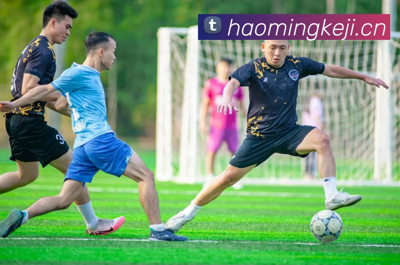 华体会app官网登录入口品牌故事